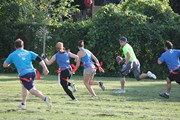 OTFL Gallery Image
